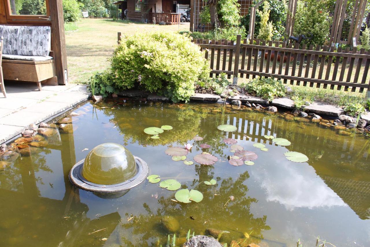 Gepetto Ferienhaus Wissenbach Hademstorf Exteriör bild